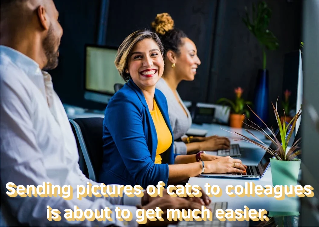 Picture of happy colleagues working on laptops